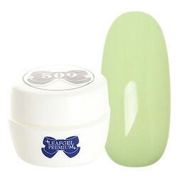 LEAFGEL PREMIUM リーフジェルプレミアム ジェルネイル カラージェル 4g #068 レーヴ・ブトン 【ネコポス対応】 ネイル用品の専門店