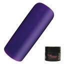 Miss Mirage ミスミラージュ ソークオフジェル M34S 2.5g マットアラジンパープル 【ネコポス対応】 ネイル用品の専門店