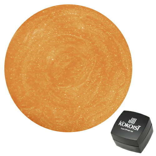 ◇KOKOIST ココイスト ジェルネイル ソークオフ カラージェル E-123 バターナッツサテンレザー 2.5g 【ネコポス対応】 ネイル用品の専門店