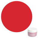 PREGEL プリジェル Premdoll Muse プリムドールミューズ カラージェル PDU-M581 ブリーズコーラル 3g 【定形外郵便】 ネイル用品の...