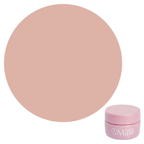PREGEL Muse プリジェルミューズ カラージェル PGU-M317 マサラチャイ 3g 【定形外郵便】