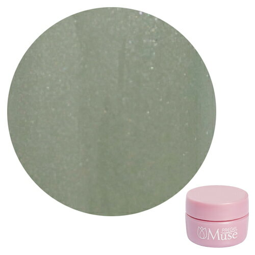 PREGEL Muse プリジェルミューズ カラージェル PGU-P346 エルム 3g 【定形外郵便】