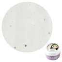 PREGEL プリジェル プリムドール ミューズ レディ・パナシア ブライス PDU-GB962 ピュアレース 3g ラメグリッター入り【定形外郵便】