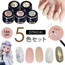 PREGEL プリジェル ジェルネイル カラージェル5色＋ブラシセット 100ベースホワイト/825ヌードベージュ/827ヌードピンク/B10魔法の鏡/B37虹の欠片 キット【ネコポス対応】