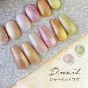 D.nail シャーベットマグジェル 2.5g 全6色 M01~M06 マグネットネイル ジェルネイル カラージェル ニュアンスネイル くすみカラー【ネコポス対応】