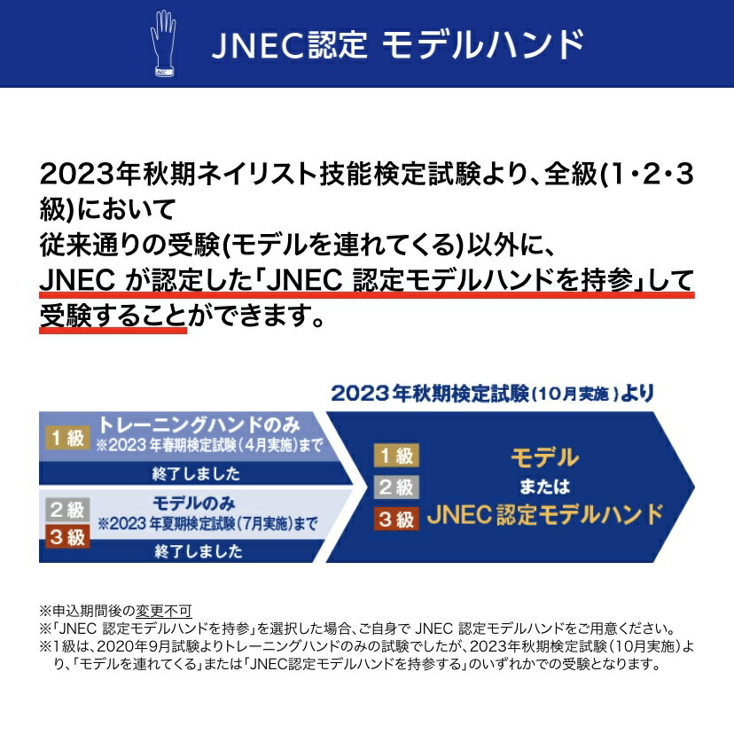 JNEC認定 STモデルハンドセット 両手 チップ差込式(ネイルチップ付き)/ハンドマネキン/練習用/トレーニング用/ネイリスト検定【ネコポス不可】 2