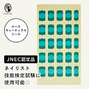 ◇JNEC認定 STモデルハンド ルースキ