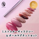 アイスジェル ICE GEL A BLACK ミストスターギャラクシージェル 8色セット+ポールマグネットスティック 超微粒子 マグネットジェル【ネコポス対応】