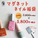 【7,800円相当分】ネイル福袋 人気マグネット＆フラッシュジェル厳選3点セット マグネットスティック付き ジェルネイル まとめ買い 大特価【ネコポス対応】