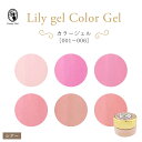 リリージェル Lily gel カラージェル 全6色 001~006 スキンカラー シアーカラー ピンク ベージュ ジェルネイル オフィスネイル【ネコポス対応】