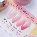 アイスジェル ICE GEL A BLACK タップグラデーションジェル 2g 全4色 グラデーションネイル チークネイル【ネコポス対応】