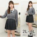 大きいサイズ スカート単品 スクールスカート 制服 プリーツスカート スカート 丈42cm 丈46cm チェック柄 ミニスカート 学生服 女子高生 卒業式 入学...