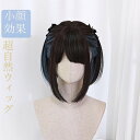 ウィッグ かつら かわいい 女性 普段 使い ロリータ 黒髪 lolitaファッションwig 自然 医療用ウィッグ 小顔効果 レディース女性 コスプレ前髪自然 医療用 フリーサイズ