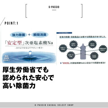 除菌 消臭 除菌スプレー 次亜塩素酸 マスク除菌 300ミリ 日本製 ウイルス対策 空間除菌 赤ちゃんやペットにも安心 安全な除菌消臭ミスト