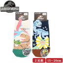 ジュラシックワールド 2足組 ソックス 15~20cm 靴下 ジュラシックパーク 恐竜 キッズ ネーム 15 16 17 18 19 20