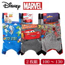 Disney Pixar ディズニー ピクサー MARVEL マーベル キッズ パンツ ボクサー 前開き 前あき 2枚組 男児 ボーイズ 2P トランクス カーズ トイストーリー スパイダーマン キャラクター