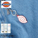 Dickies ディッキーズ アイコン ロゴ 