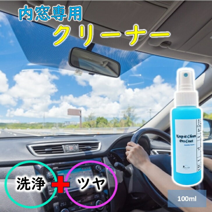 【レギュラーサイズ100ml】 車ガラスコーティング剤 脱脂スプレー 車洗車グッズ 洗車用洗剤 カーナビ 画面 拭き 画面コーティング ガラスクリーナー 業務用 指紋防止 スプレー 車 窓 ガラスクリーナー 指紋防止 コーティング剤 ガラスコーティング 内窓クリーナー W