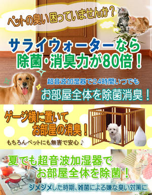 サライウォーター10L即送!原液・リピートにお勧め消臭・除菌・無害・【期間限定税抜:4,900円】【送料無料】