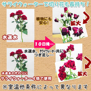 サライウォーター10L即送!原液・リピートにお勧め消臭・除菌・無害・【期間限定税抜:4,900円】【送料無料】