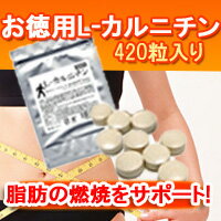 お徳用「L−カルニチン」コエンザイムQ10・カテキン配合（レターパック対象商品）