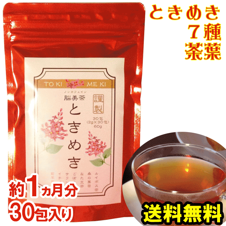 【お買い物マラソン 4月 P10 送料無料】お茶 ティーバッグ ギフト プレゼント【アンチエイジング】脳美茶ときめき(30包入り)3個購入で+1個無料 ルイボスティー(有機JAS認定)イチョウ茶 なた豆茶 桑の葉茶 ごぼう茶 サラシア茶 菊芋茶のブレンド茶