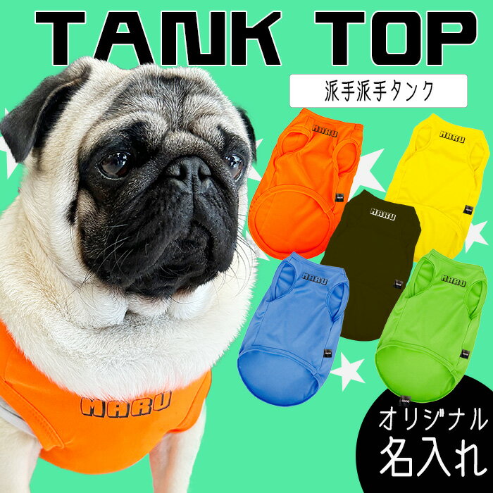 G-snap̵ϥץӥӥåȥΡ꡼֥󥯥ȥåȾµѲƥɥåML󤪤Ǥ⥤٥Ƚղƿ͵󥹥ǤڥåȤä줫襤ѥե֥סɥɼ