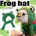 【G-snap】カエル 帽子 犬用 ペットウェア 撮影小物 オシャレ かわいい 犬の服 犬服 2023 ペット いぬ トイプードル チワワ ダックス フレブル ...