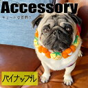 【G-snap】パイン 首飾り 犬用 ペットウェア 撮影小物 オシャレ カラフル 犬の服 犬服 アクセサリー ペット 犬 プードル チワワ ダックス フレブル ...