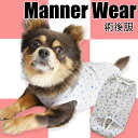 【G-snap】術後服 グレー スター マナーウェア 月経 避妊 去勢 手術 皮膚ケア 術後ケア 犬 小型犬 犬用 犬服 ウェア ドッグウエア 犬の服 秋冬 2023 ペット いぬ トイプードル チワワ ダックス フレブル パグ ロンパース 前開き スナップボタン おむつ お出かけ ギフト(4)