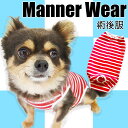 【G-snap】術後服 レッド ボーター マナーウェア 月経 避妊 去勢 手術 皮膚ケア 術後ケア 犬 小型犬 犬用 犬服 ウェア ドッグウエア 犬の服 秋冬 ...