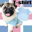 【G-snap】ボーダー ブルー トップス 犬 小型犬 犬用 犬服 ウェア ドッグウエア 犬の服 M L XL XXL ワンちゃん おでかけ お散歩 イベント Tシャツ 人気 インスタ 映え 2023 犬 トイプードル チワワ ダックス フレブル パグ コスプレ 撮影 シンプル プレゼント ギフト 夏服