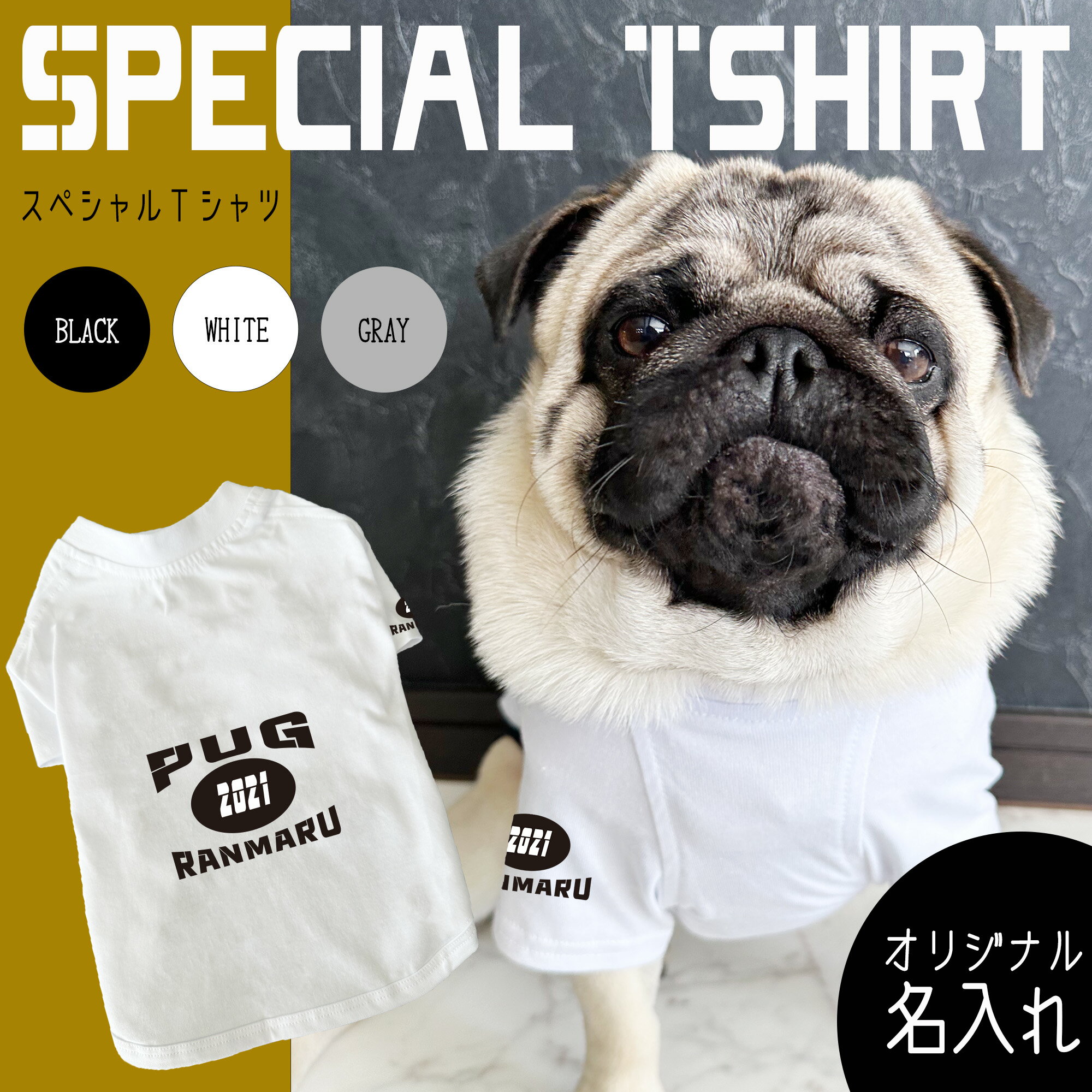G-snap̾쥹TĸѲɥåT3̾̾쥷ץ륫å޻ȥ졼ʡꥸʥ뤪Ǥ⥤٥Ⱦ͵󥹥ǤȥåץMLXLXXL