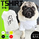 犬服【G-snap】名入れ 我が輩Tシャツ 犬用 夏服 ドッグウェア Tシャツ 6色 サイド名入れ 背面名入れ シンプル カッコいい オシャレ ローマ字 トレーナー オリジナル おでかけ お散歩 イベント 小型犬 薄手 人気 インスタ 映え トップスXS S M L XL XXL