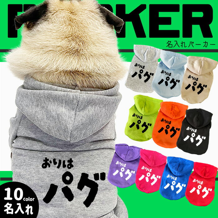 ���� ��G-snap��̾���� ����Υѡ����� ���� �� �� �� �ɥå������� �ȥ졼�ʡ� ������̾���� ����̾���� ����ץ� ���å����� ��...