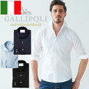 イタリアシャツ メンズシャツ 白シャツ GALLIPOLI 