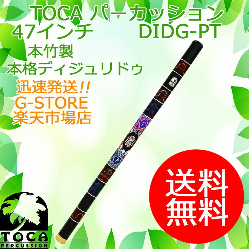 TOCA ディジュリドゥ DIDG-PT Turtle キャリーバッグ付 47インチ 竹製 パーカッション トカ