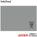 Solid Bond ソリッド ボンド PC-KY-DIA ダイヤモンド 横山健 デザイン Polish Cloth Diamond メンテナンス クリーニング...