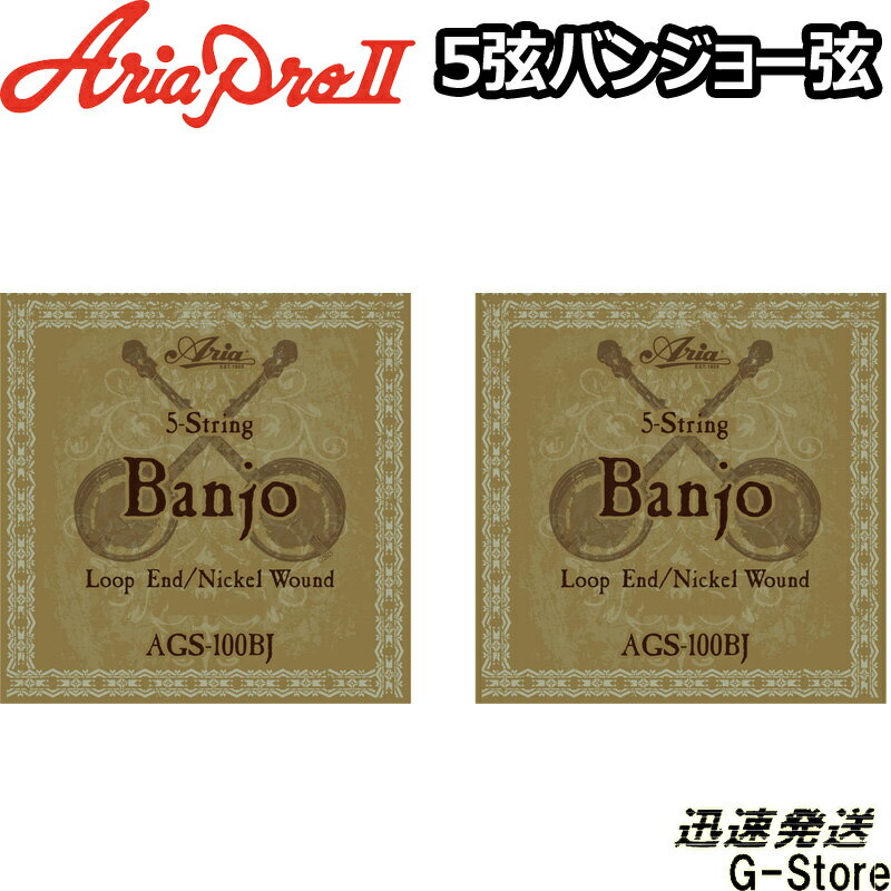 5-String Banjo Strings 5弦バンジョー用ニッケルワウンド弦。ループエンド仕様。 ゲージ：.010/.012/.016/.023W/.010