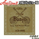 5-String Banjo Strings 5弦バンジョー用ニッケルワウンド弦。ループエンド仕様。 ゲージ：.010/.012/.016/.023W/.010