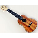 【GW限定ポイント10倍！】フジゲン ソプラノウクレレ FUS-TS-02 SOPRANO UKULELE FUJIGEN ウクレレを始めよう