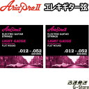 【29日までポイント10倍】AriaProII エレキ弦 AGS-900L×2セット Flat Wound Light 12-52