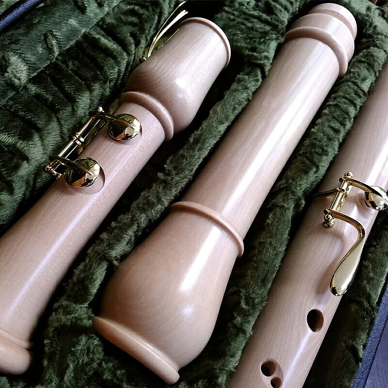 MOECK 2520(B�˥ᥤ�ץ�� �Х��å��� ����ɹ����� ���� �Х��ꥳ������ ��å�