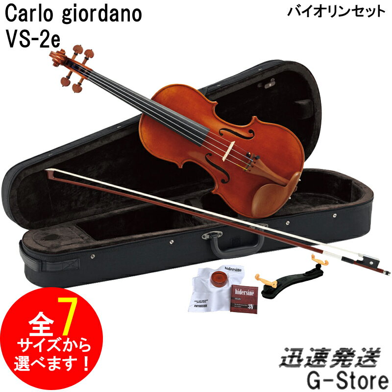 【サイズが選べる】カルロ・ジョルダーノ バイオリンセット VS-2e Carlo giordano