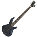 【27日までポイント8倍】AriaProII 5弦ベースギター IGB-STD/5B MBK