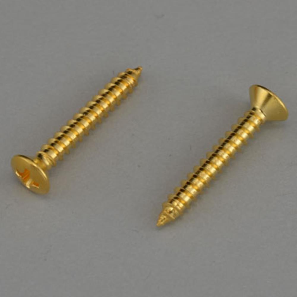 Fender Japan等に対応する、ミリ規格のスクリューです。規格 : 丸皿タッピング 3.5 x 25 (mm)