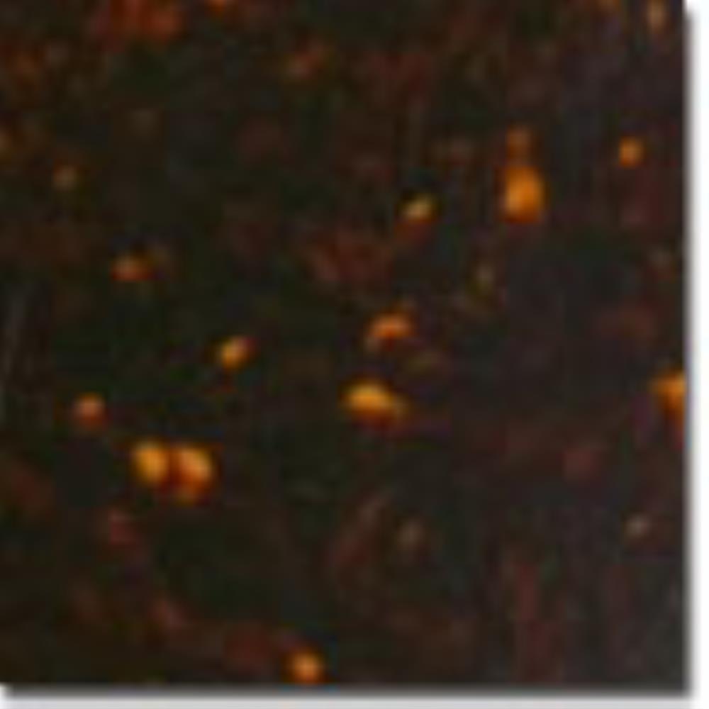 �ڥݥ����UP��Montreux ʿ�� �ԥå������� ������ 300 x 450 (mm) Brown Tortoise 4P 9743