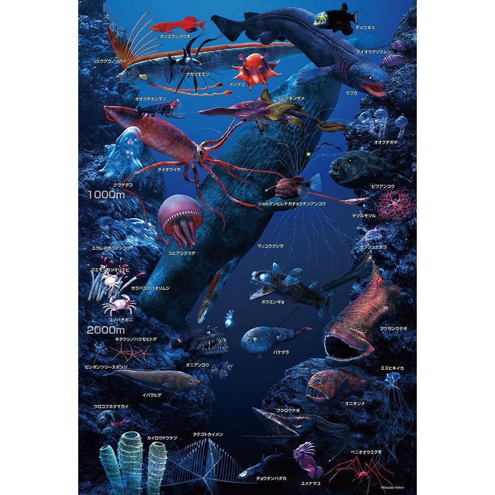 【週末限定ポイントUP】ジグゾーパズル 深海の生物おぼえちゃおう！ L74-191 BEVERLY ビバリー