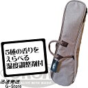【18日までポイントUP】【湿度調整剤付】ORCAS ソプラノウクレレ用ギグバッグ OUCU-1 BRN ブラウン ソフトケース オルカス