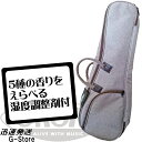【18日までポイントUP】【湿度調整剤付】ORCAS コンサートウクレレ用ギグバッグ OUCU-2 BRN ブラウン ソフトケース オルカス